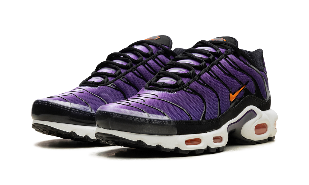 Air Max Tn Purple