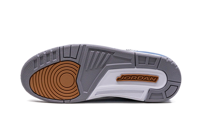 Air Jordan 3 "Wizards"