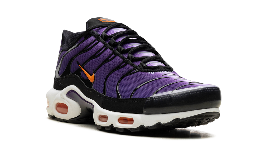 Air Max Tn Purple