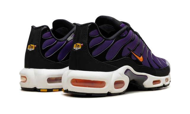 Air Max Tn Purple