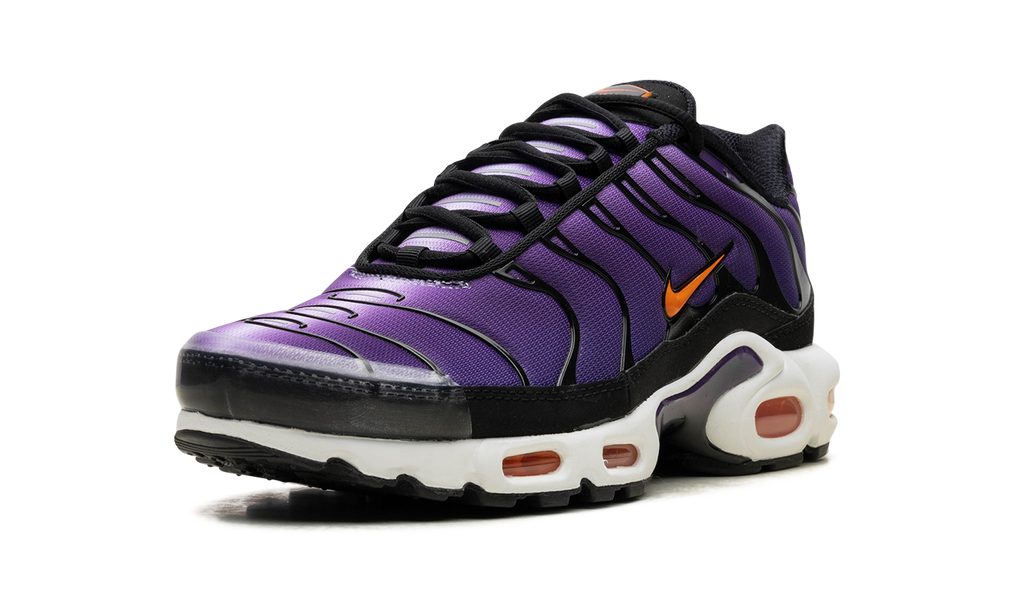 Air Max Tn Purple