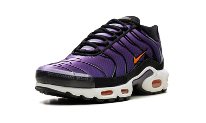 Air Max Tn Purple