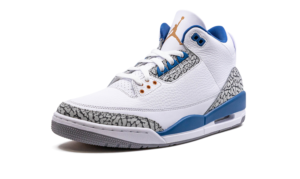Air Jordan 3 "Wizards"