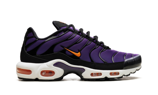 Air Max Tn Purple