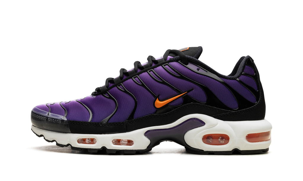 Air Max Tn Purple