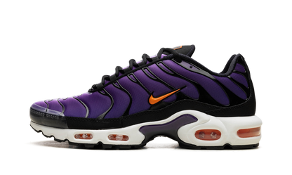 Air Max Tn Purple
